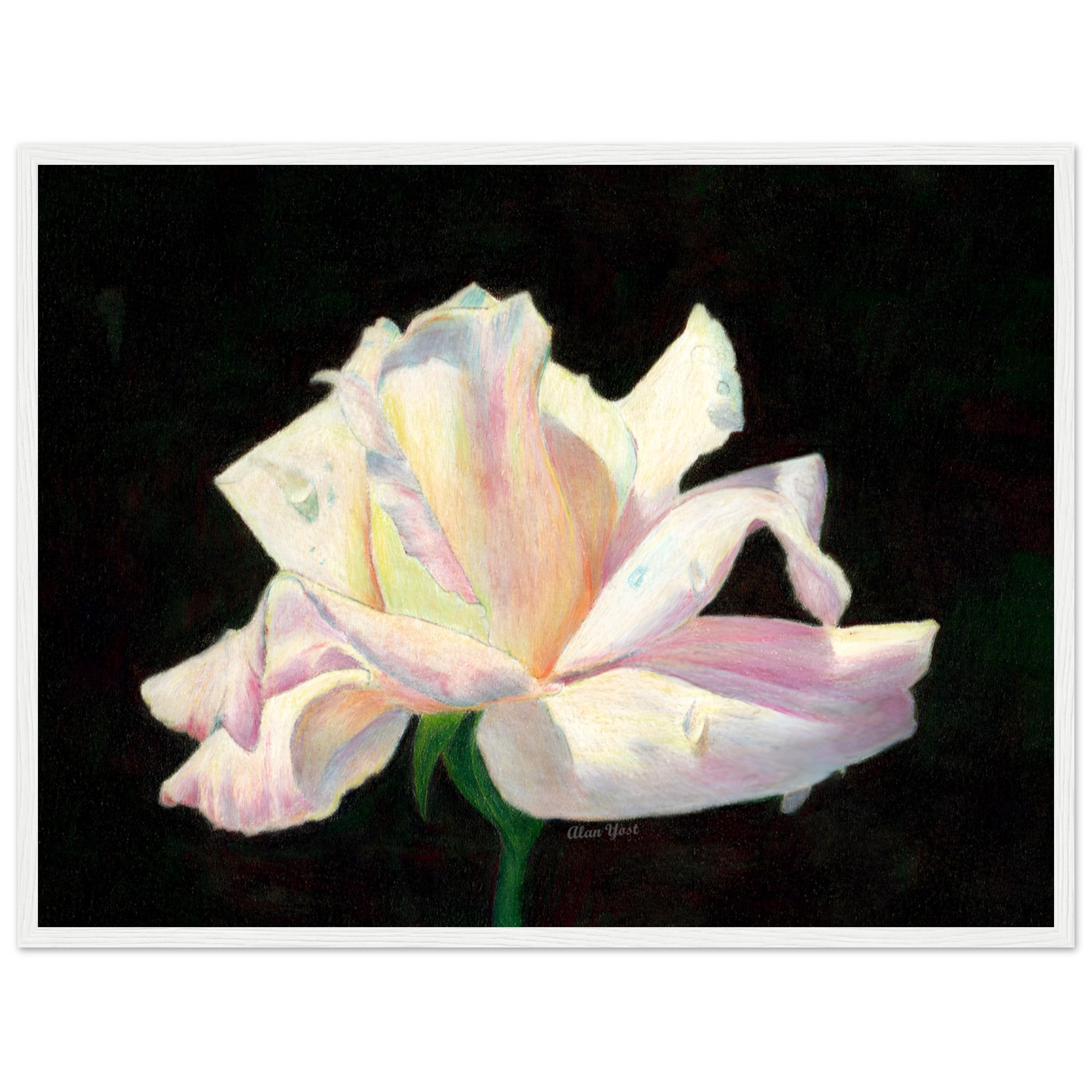 3c0bcbea-bd76-41a9-ada8-80b4b2fc4f58